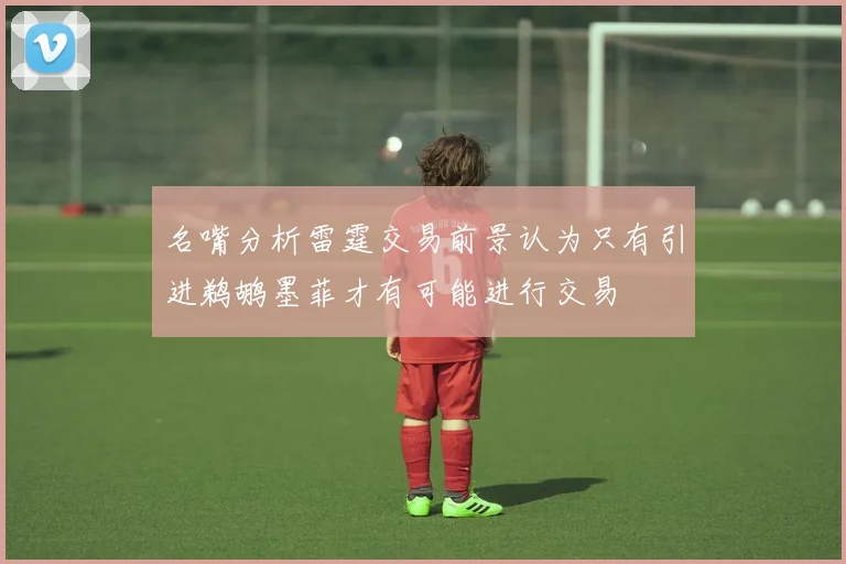 名嘴分析雷霆交易前景认为只有引进鹈鹕墨菲才有可能进行交易