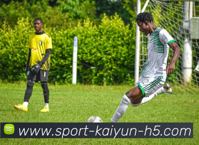 App Interface Preview