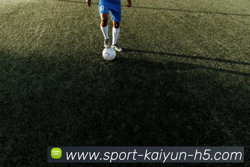 开云体育APP 封面图